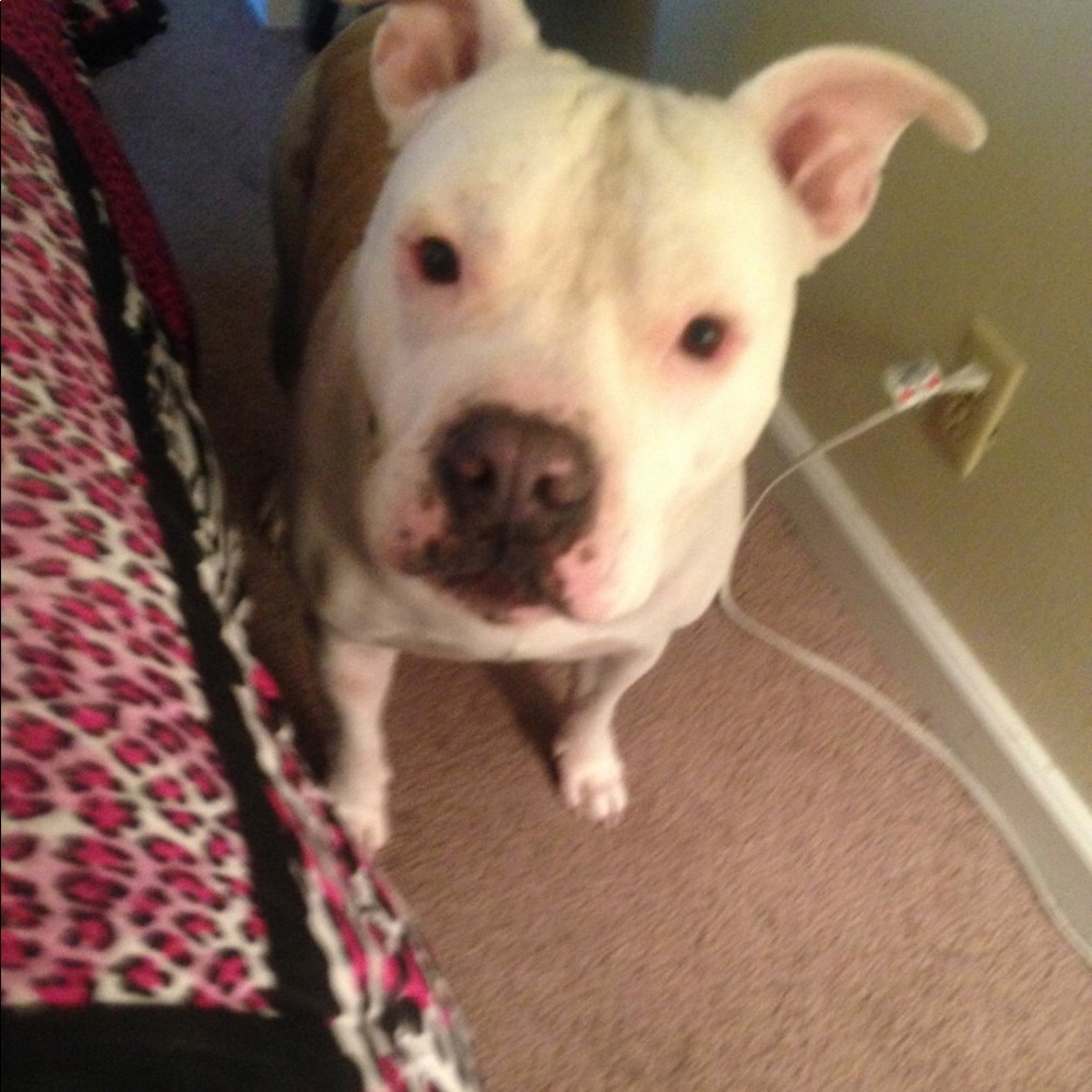 Meet your Posher, Anna banna 🍌